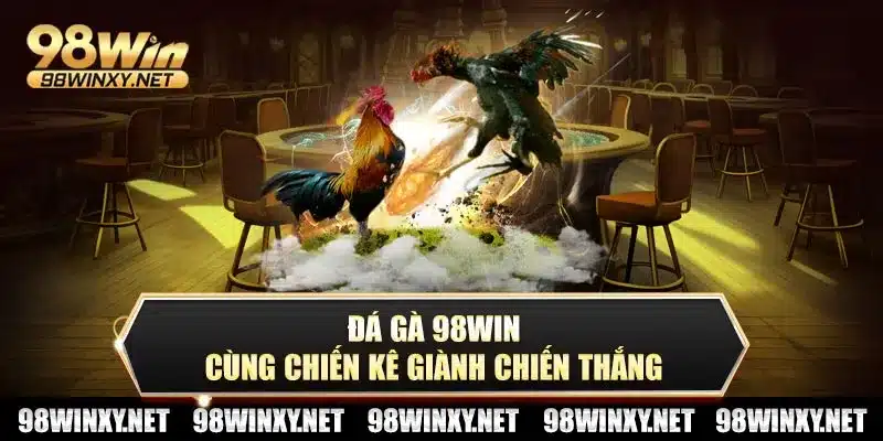 Đá gà 98win